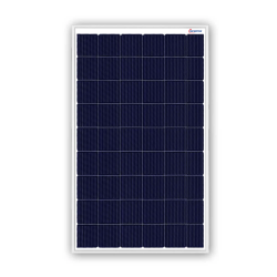 Microtek Solar PV Module 50W 12V